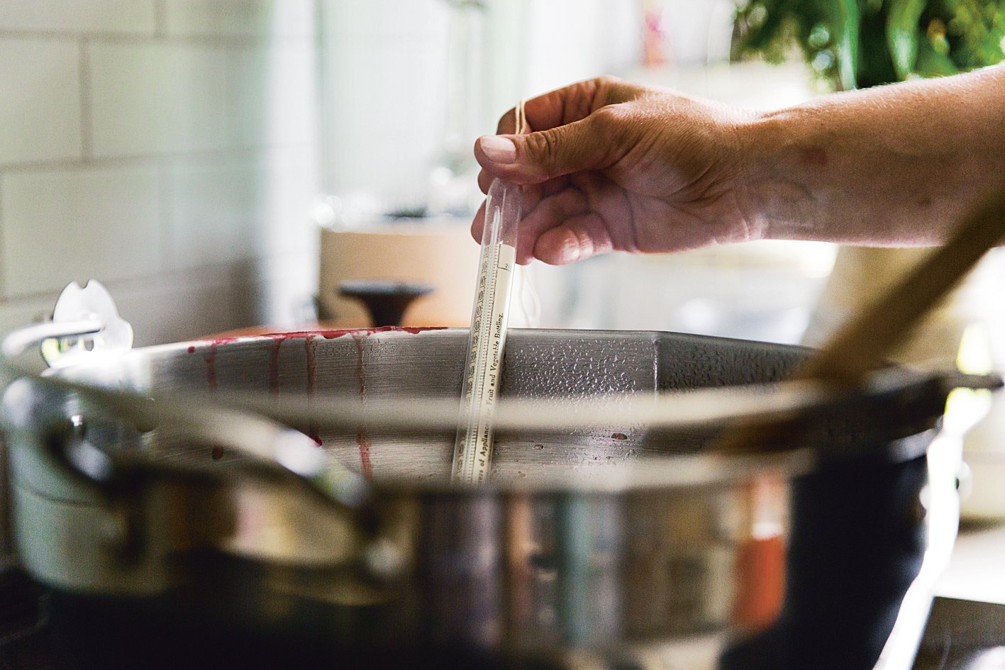 The Modern Preserver: A mindful cookbook packed with seasonal appeal