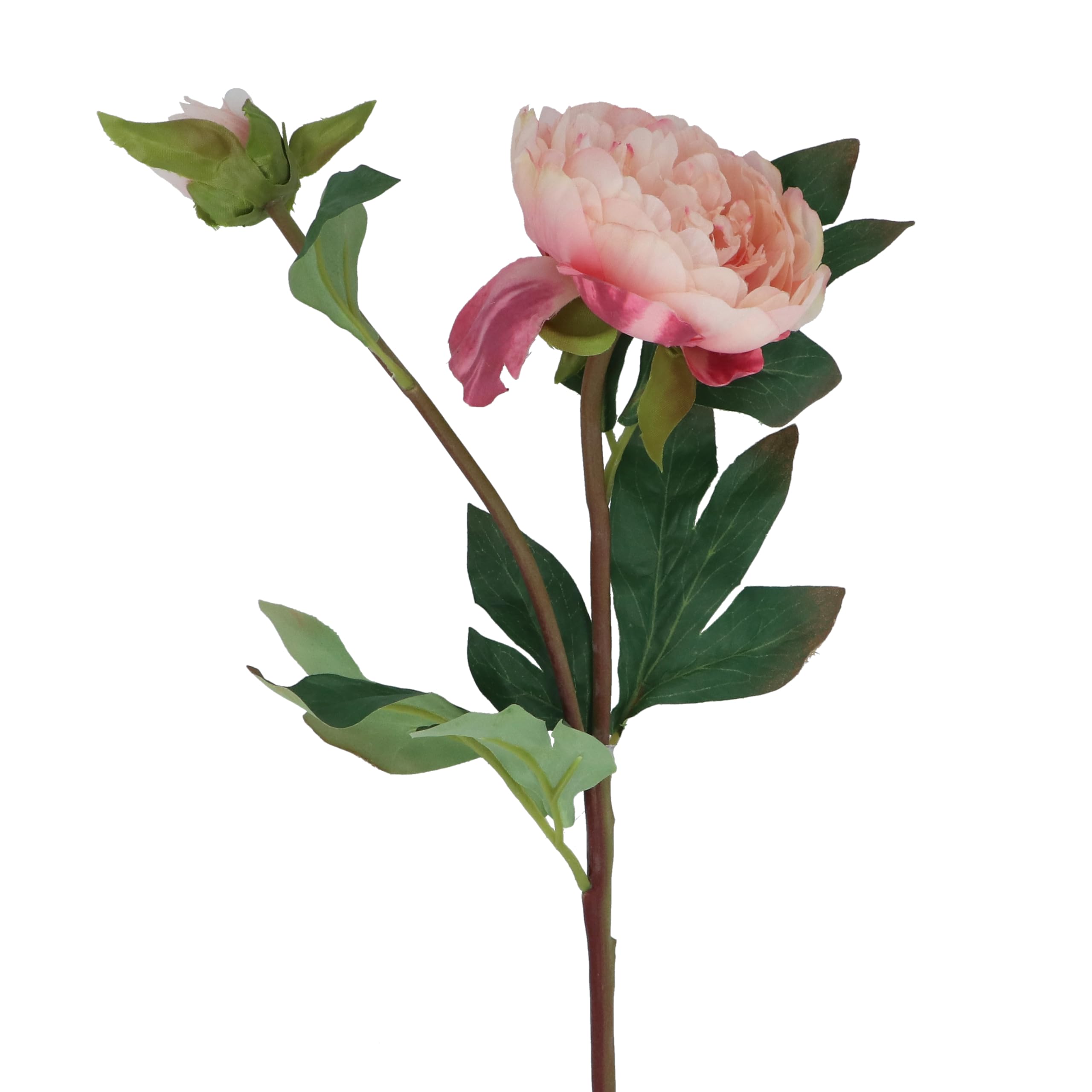 Gisela Graham Artificial Peony Stem, Pale Pink, 57cm, Polyester