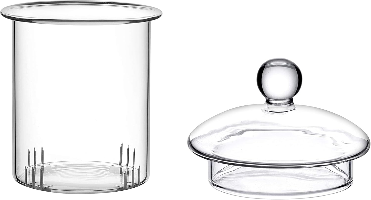 CnGlass Replacement Glass Tea Infuser with Lid for 20.3oz Teapot,Borosilicate Glass-Odor and Stain Free