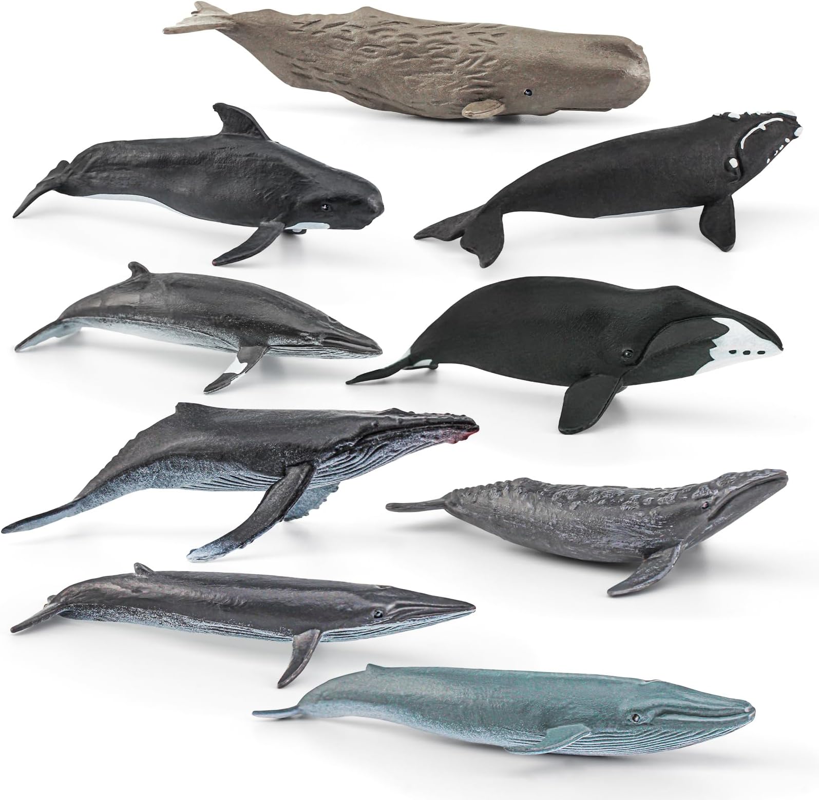 Mini Prehistoric Sea Creatures