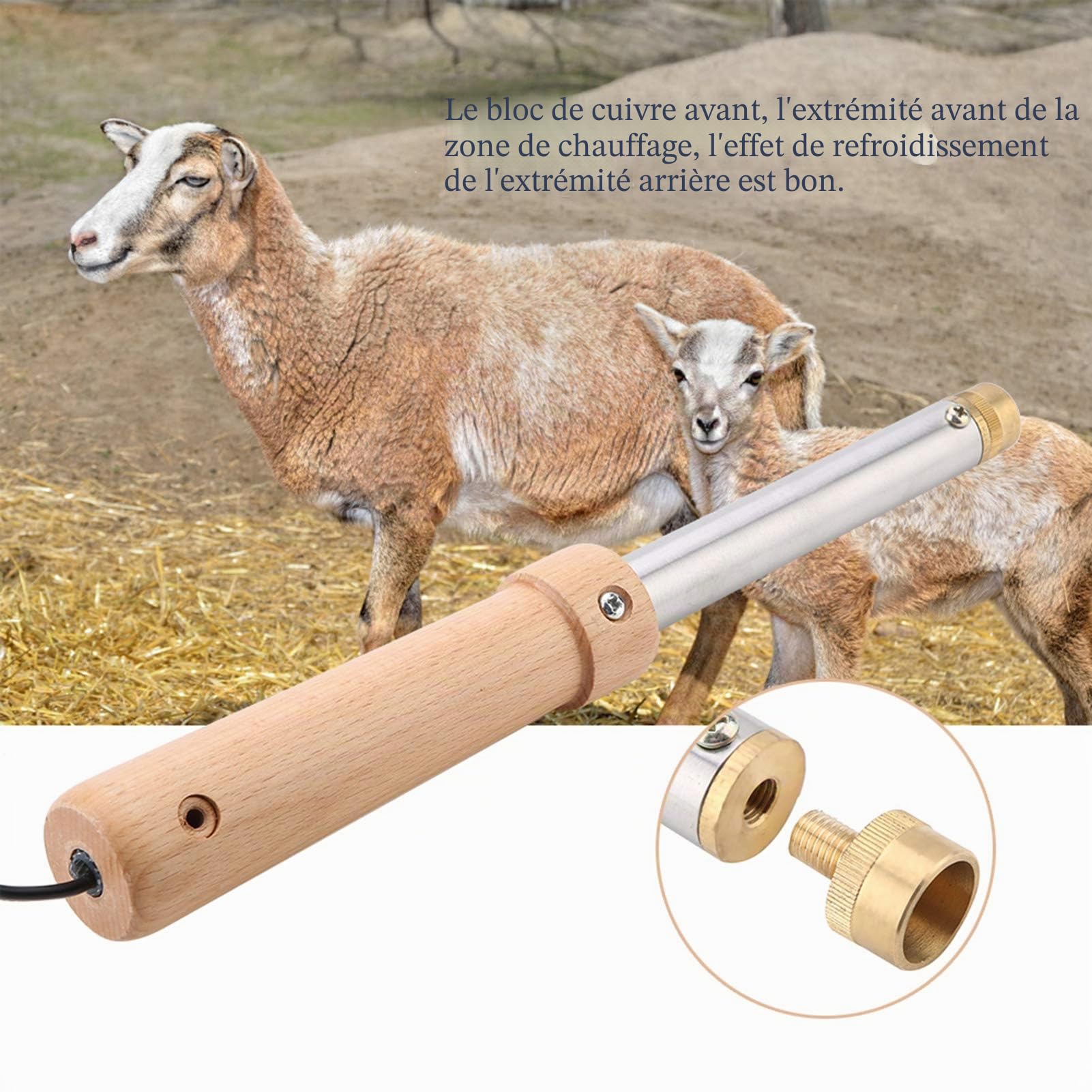 Électrique chèvre Veau écorneur, Fer exsangue Chauffage Rapide bovins Corne Agneau Ferme Outil bovins Moutons écorneur électrique sans Transfusion Chauffage bovin écorceur