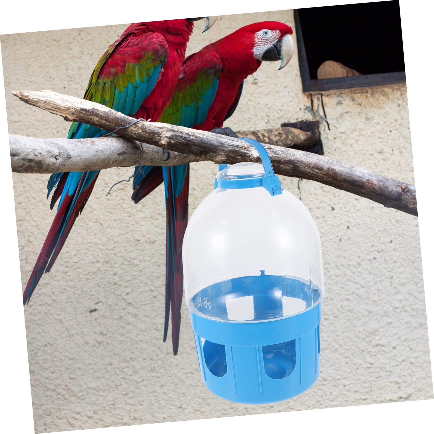 Abaodam Tauben Wasserspender mit Großer Kapazität aus PVC Runde Form Einfache Handhabung und Reinigung für Vogel Wasserversorgung zu Hause Zufällige Farbe