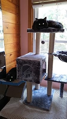 handicap cat tree