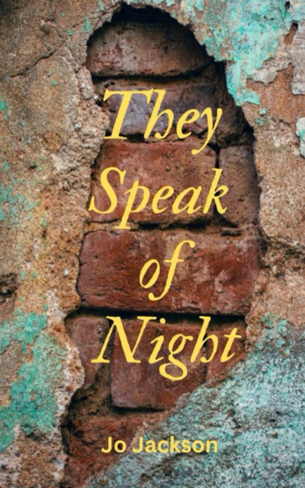 They Speak of Night: They Speak of Night: A powerful and poignant story of loss and love that spans decades and continents.