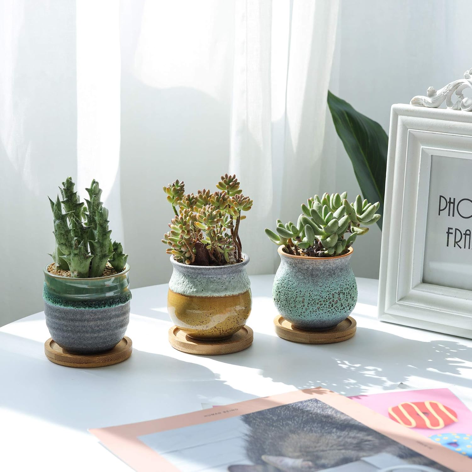 T4U 2.5 Inch Small Ceramic Succulent Pots with Bamboo Tray Set of 6, Sagging Glazed Porcelain Summer Serial Handicraft for Mom Sister Home Office Table Desk Windowsill Decoration