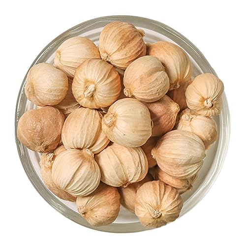 Amomum Cardamomum, Authentic Herb, White Cardamom 白蔻, Dried Bai Dou
