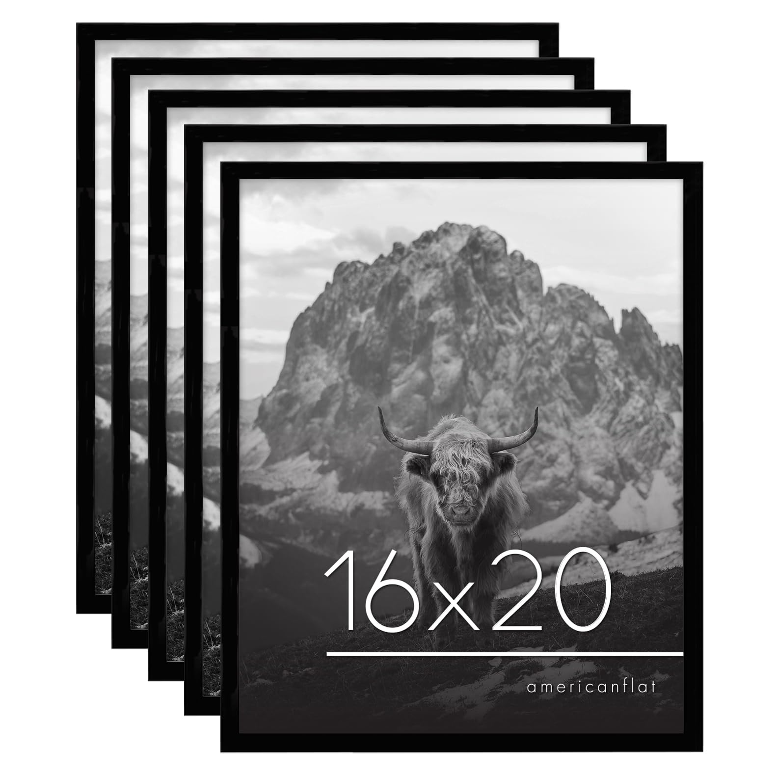 Americanflat 16x20 Picture Frame Set of 5 in Black - Gallery Wall Frame Set with Hanging Hardware - Horizontal or Vertical Display Collage Wall Decor
