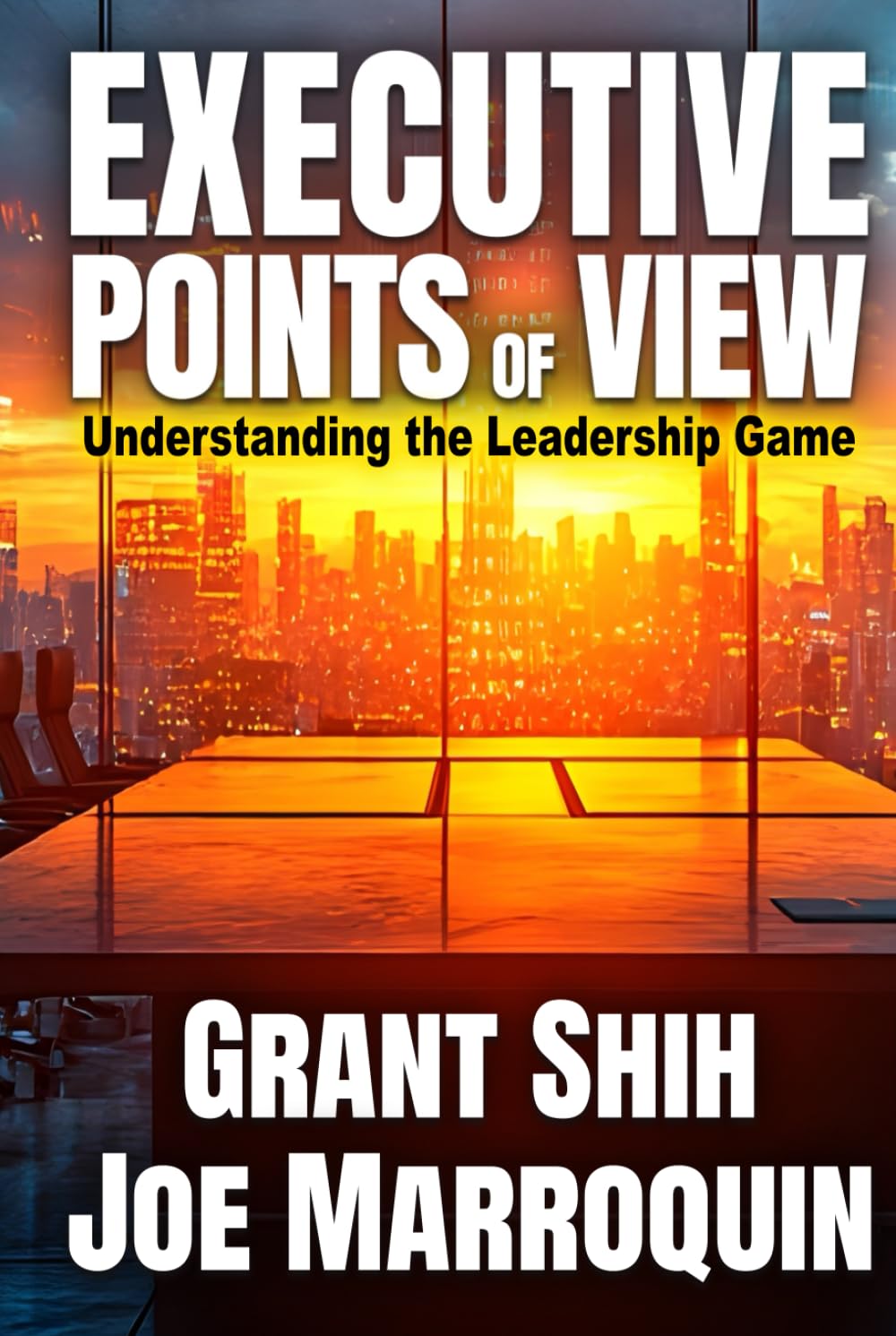 Executive Points of View: Understanding the Leadership Game