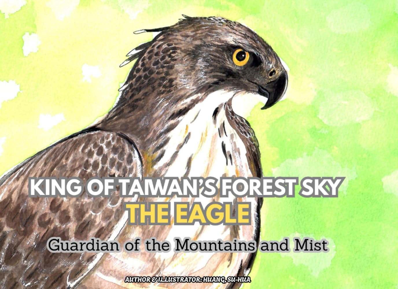 KING OF TAIWAN’S FOREST SKY THE EAGLE: Guardian of the Mountains and Mist