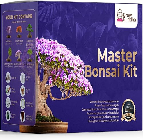 Cultiva tu propio kit de bonsái  Plantas y semillas de árboles  Kits de manualidades  Cultiva fácilmente 4 tipos de árboles bonsái con nuestro kit