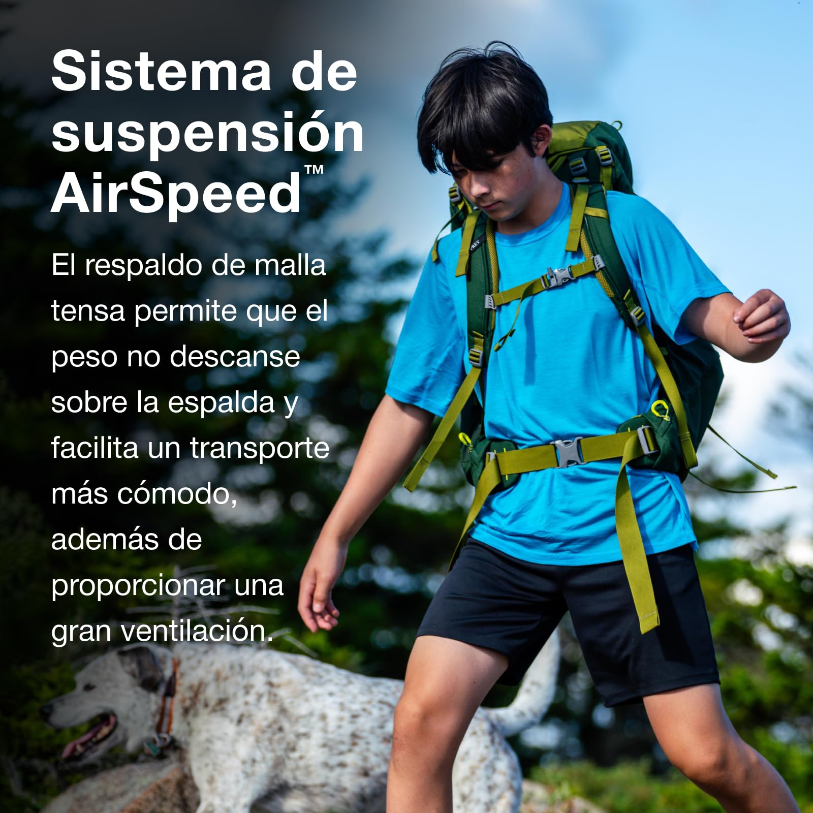 Osprey Ace Mochila de trekking infantil, 38L, Blue Spikemoss/Deep Peyto