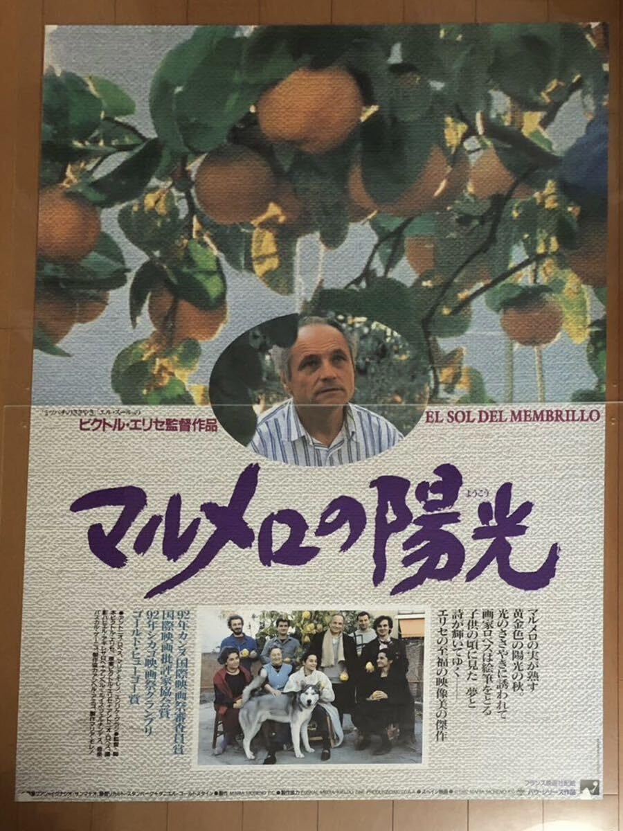 Amazon.co.jp: 全169 映画ポスター マルメロの陽光 EL SOL DEL