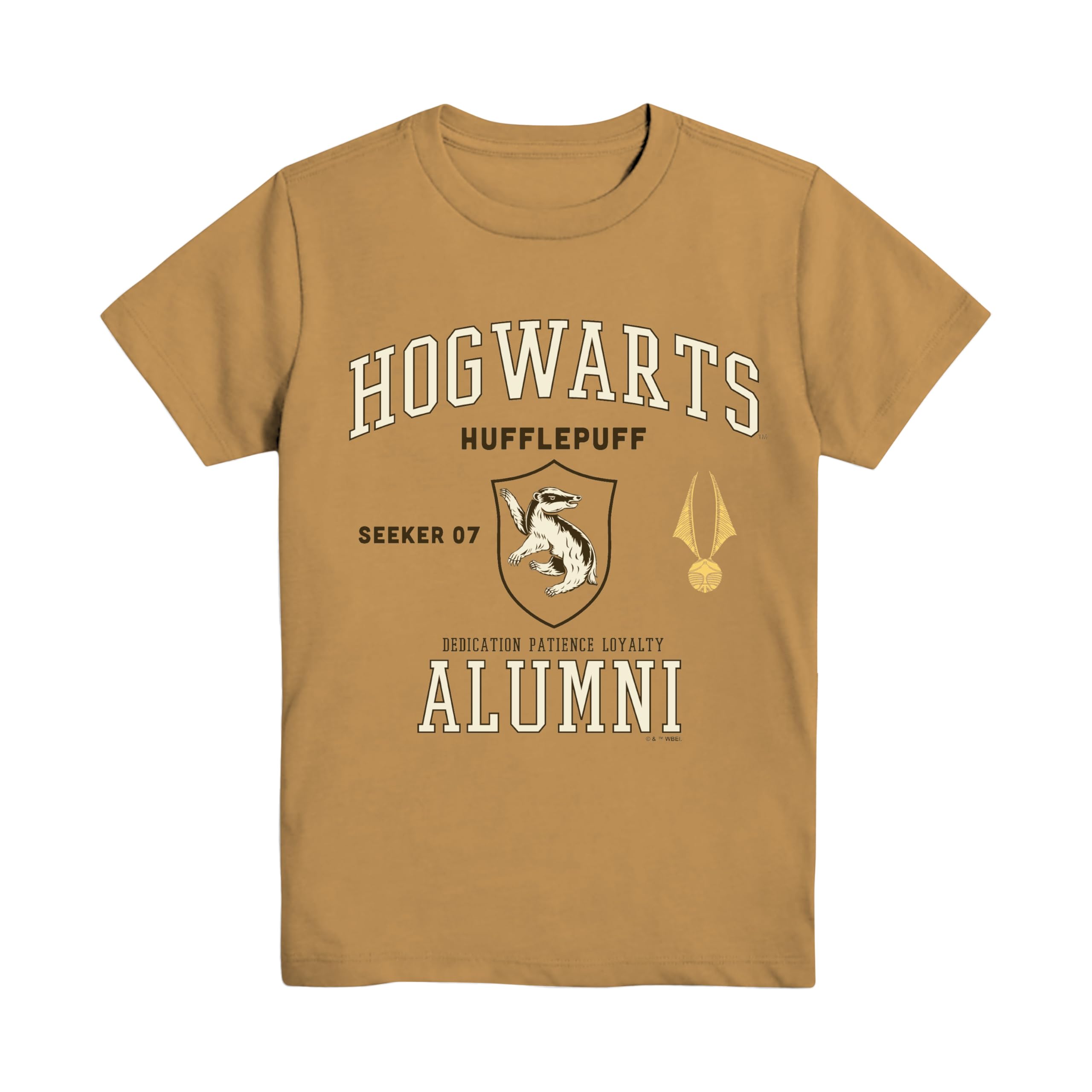 Harry Potter Hogwarts Ravenclaw Gryffindor Hufflepuff Slytherin Alumni Boys Youth T-Shirt
