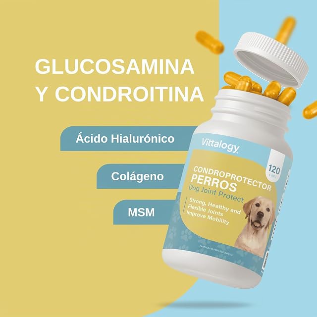 Foto 5 de 8 de VITTALOGY Condroprotector para Perros. Antiinflamatorio Natural con Colágeno, Condroitina