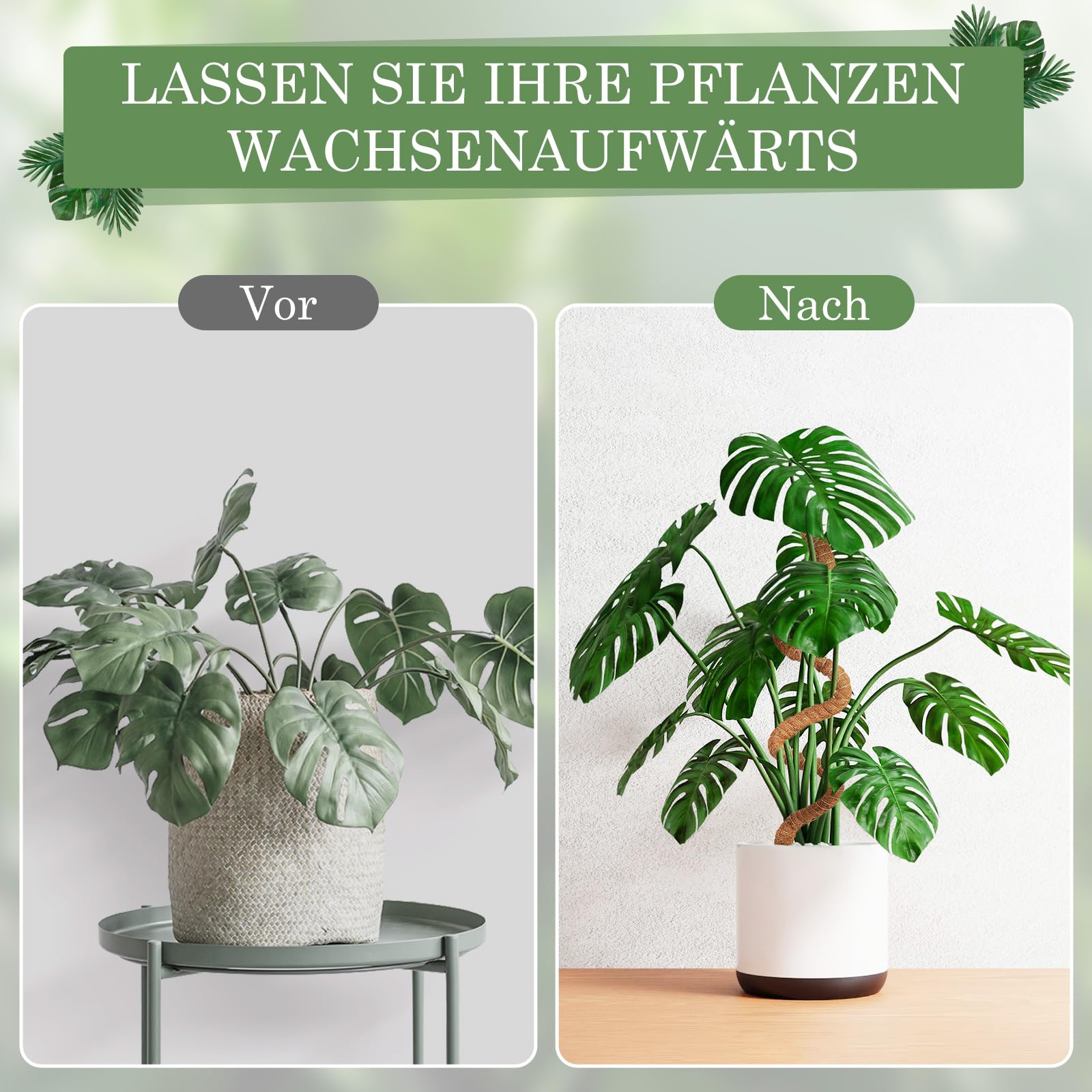 Podpórka do roślin pnących Monstera 75 cm, 2 sztuki prętów, wsparcie dla roślina pokojowych