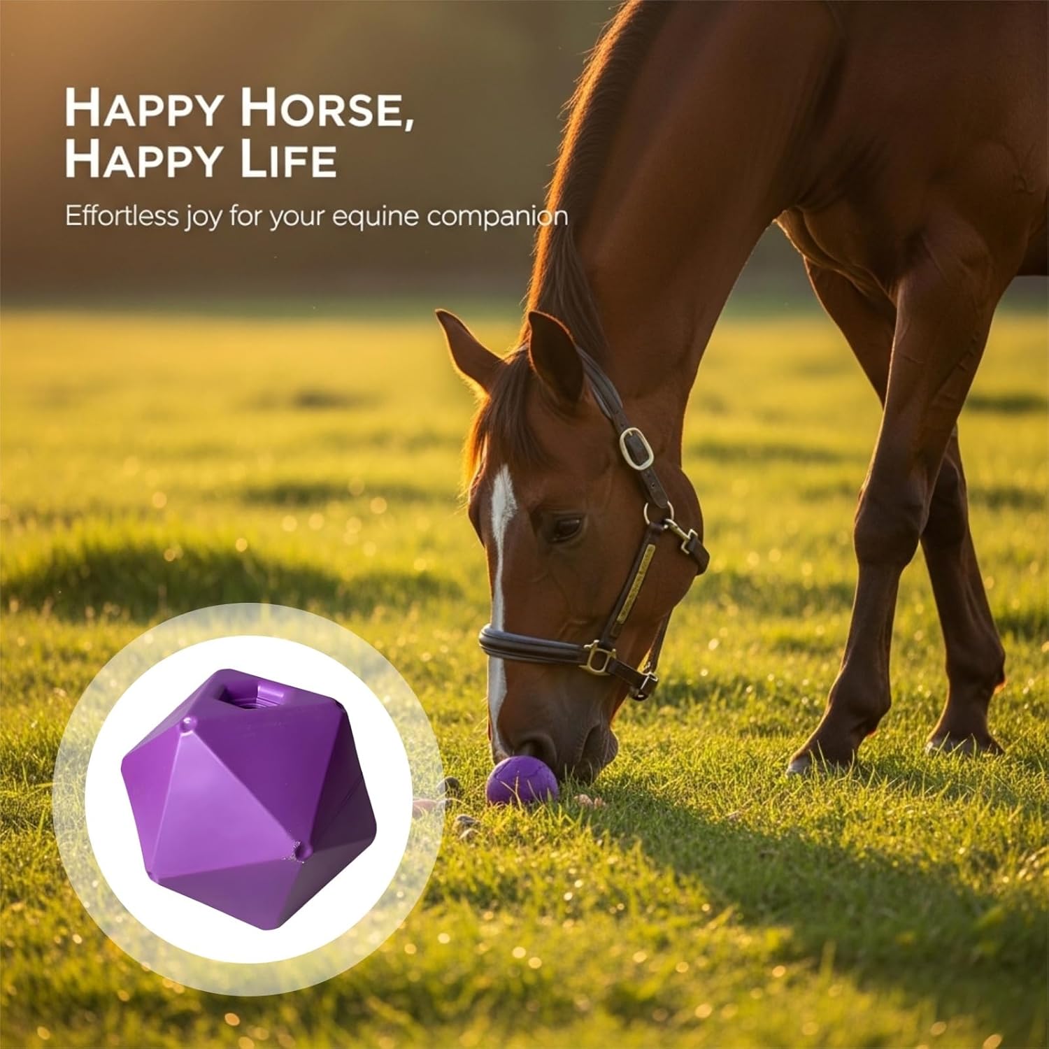 Horse Entertainment, 9 in / 23 Cm Blue Food-Safe Pp, Equine Treat Feeder Toy, Stress Reliever, Pasture Grazing for Boredom Enrichment