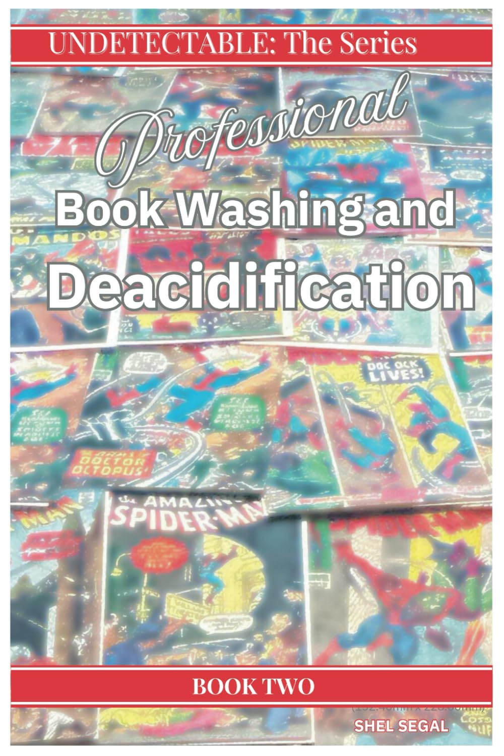 Undetectable: Book 2: Professional Book Washing and Deacidification (UNDETECTABLE: The Series)