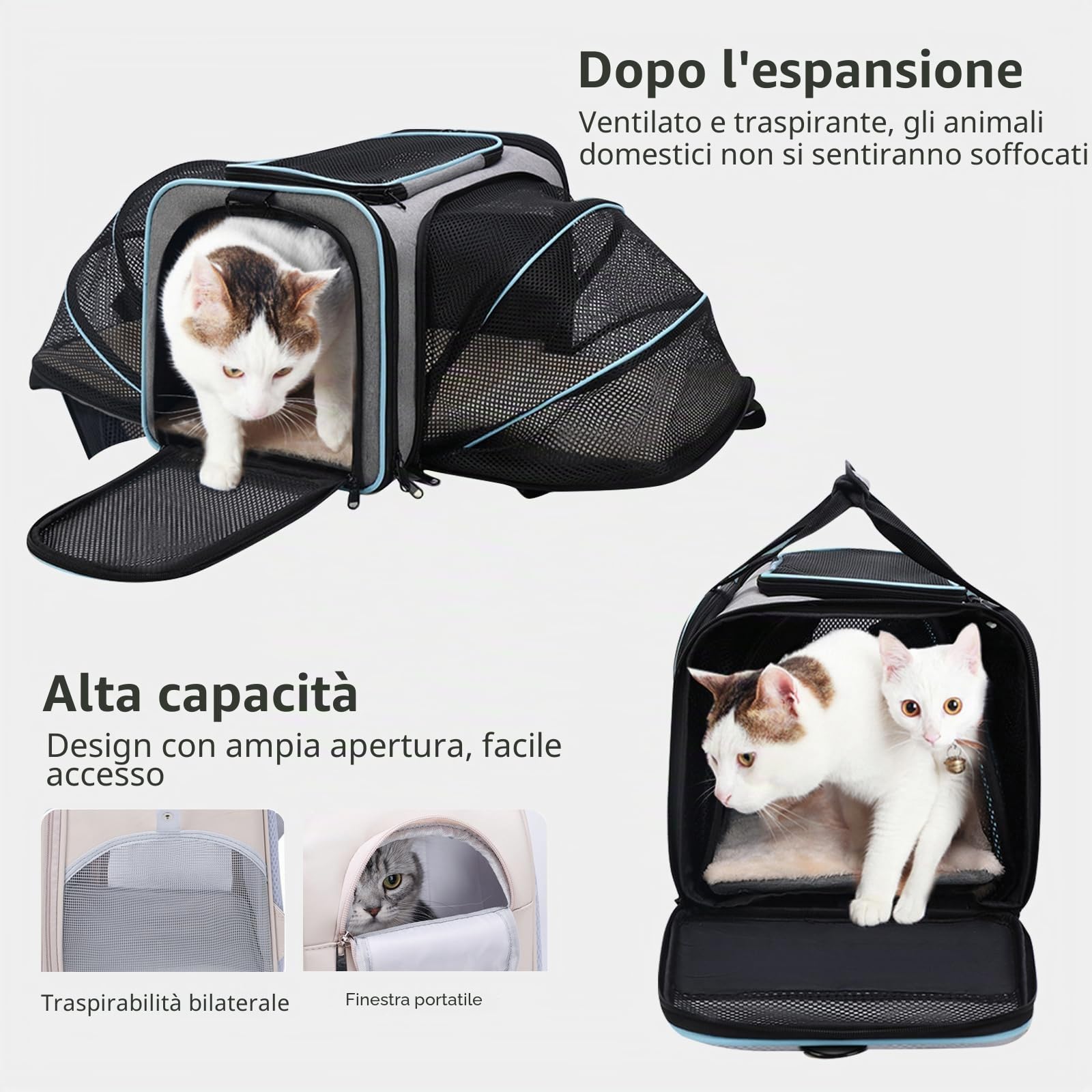 PETCUTE Trasportino per Cani e Gatti Espandibile,Trasportino per Animali Approvato Dalla Compagnia Aerea,Pieghevole Trasportino Cane Gatto con Materasso Morbido,per Viaggio in Auto, Aereo, Treno
