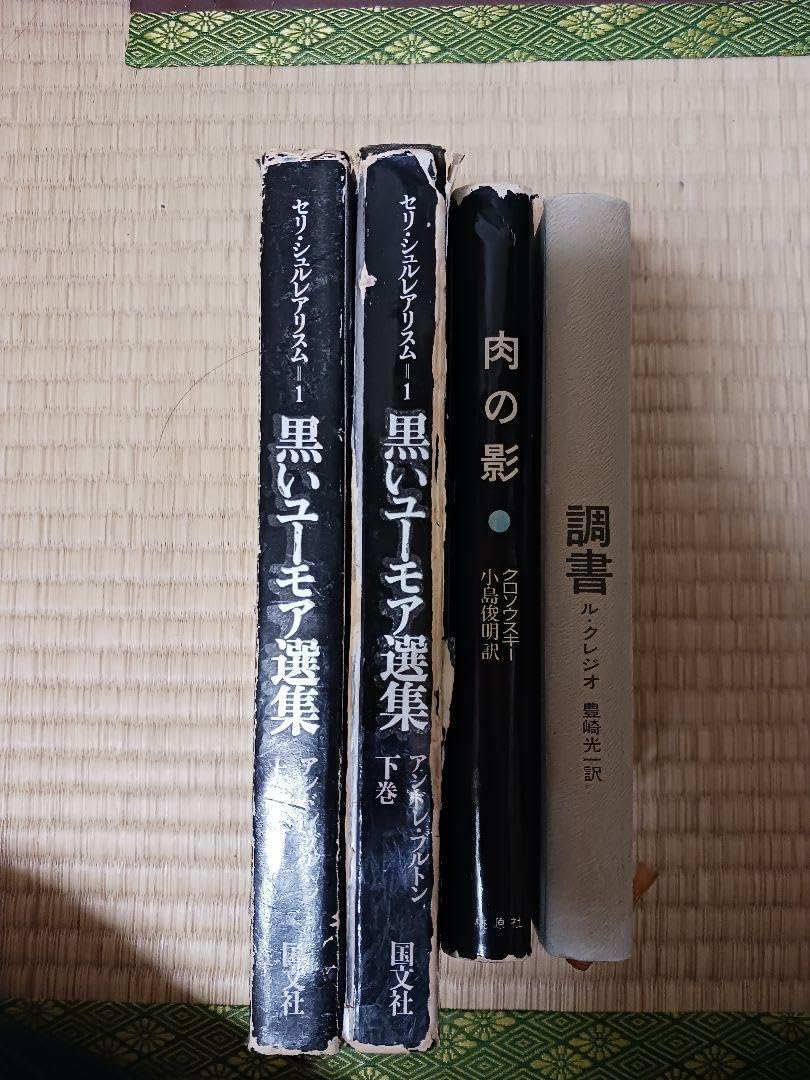 フランス世紀末文学叢書 全巻セット 【公式通販】 フランス文学 セット