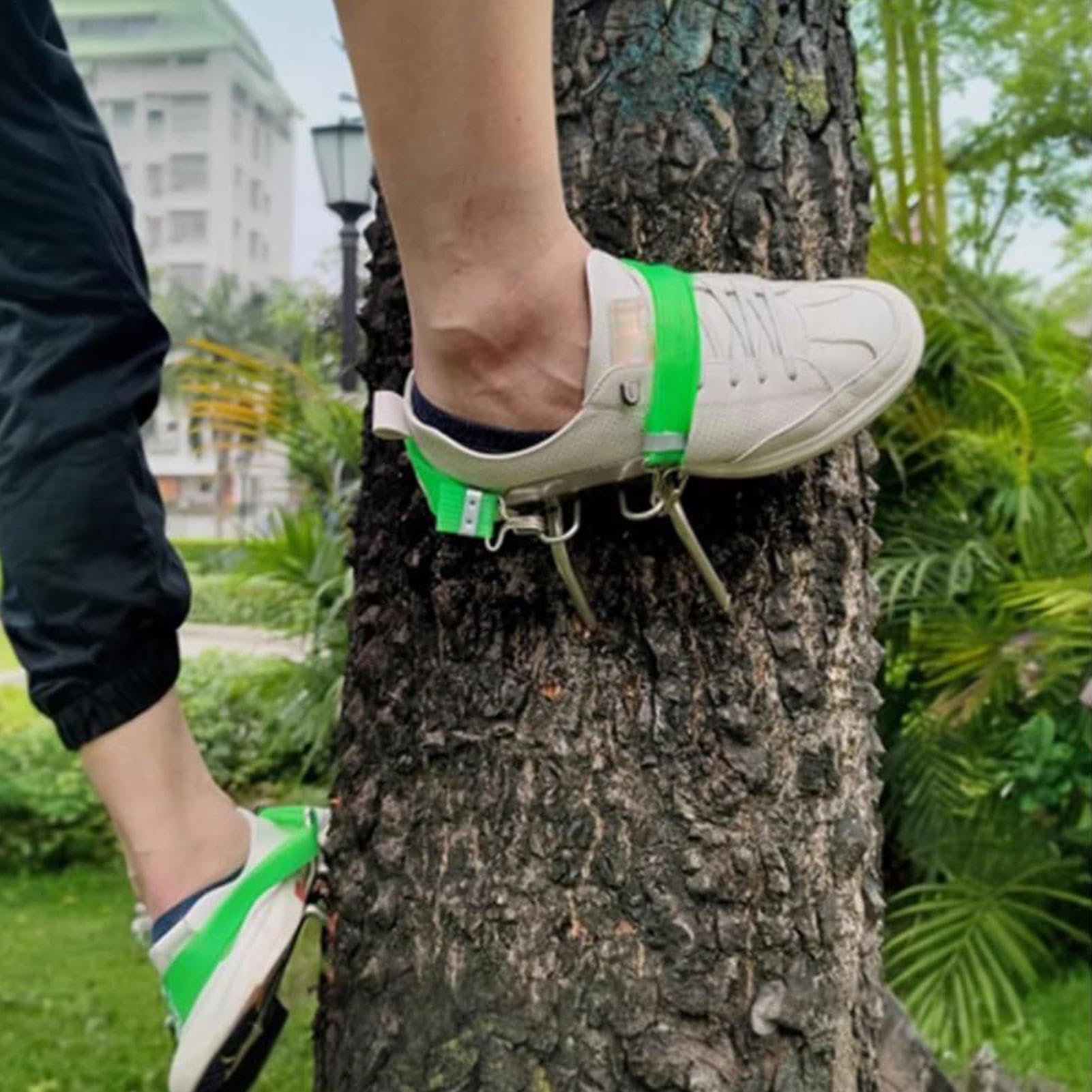 Zapatos de Escalada de Árboles con Espigas, Equipo de Seguridad Antideslizante Portátil