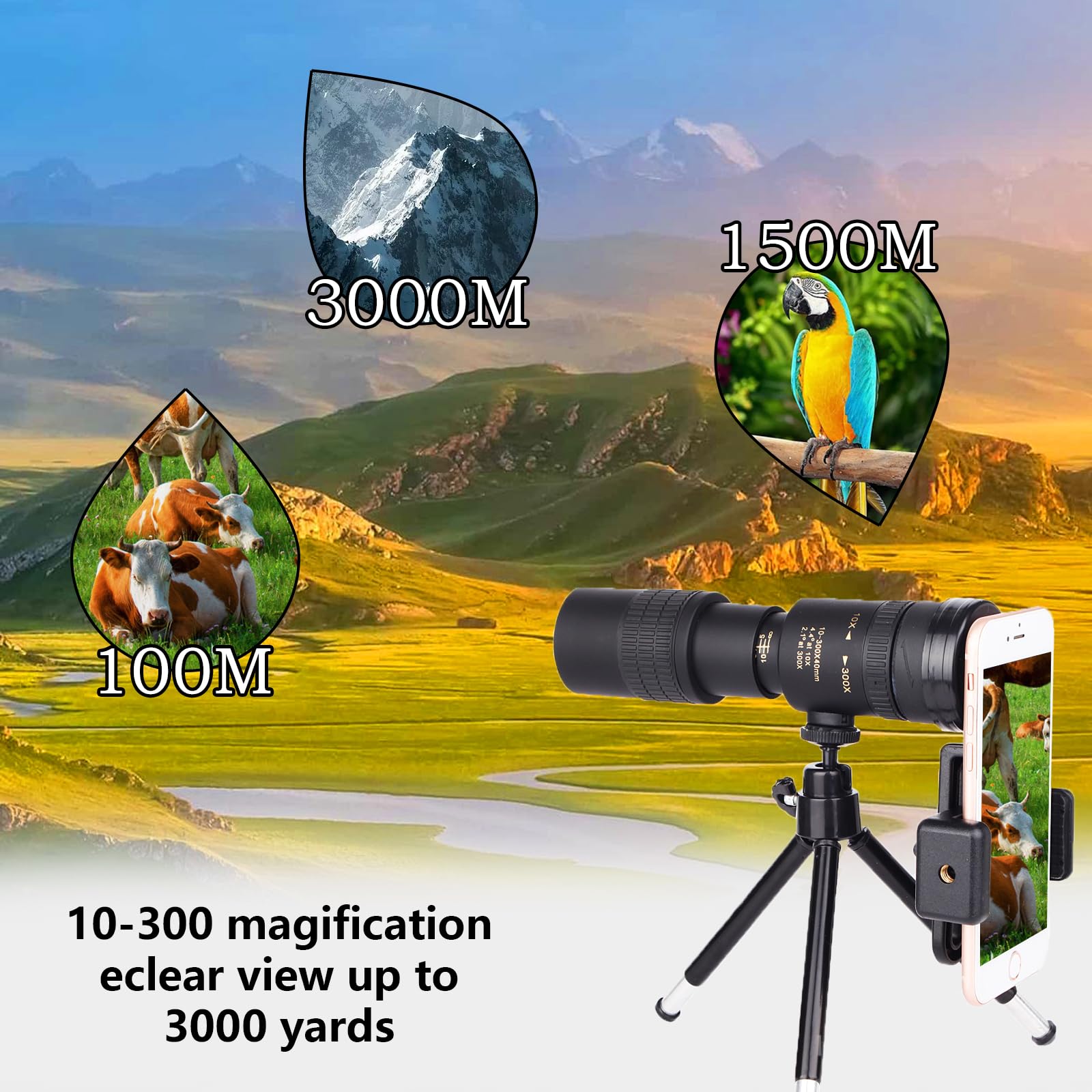 https://m.media-amazon.com/images/I/71AoIB7IPDL.jpg