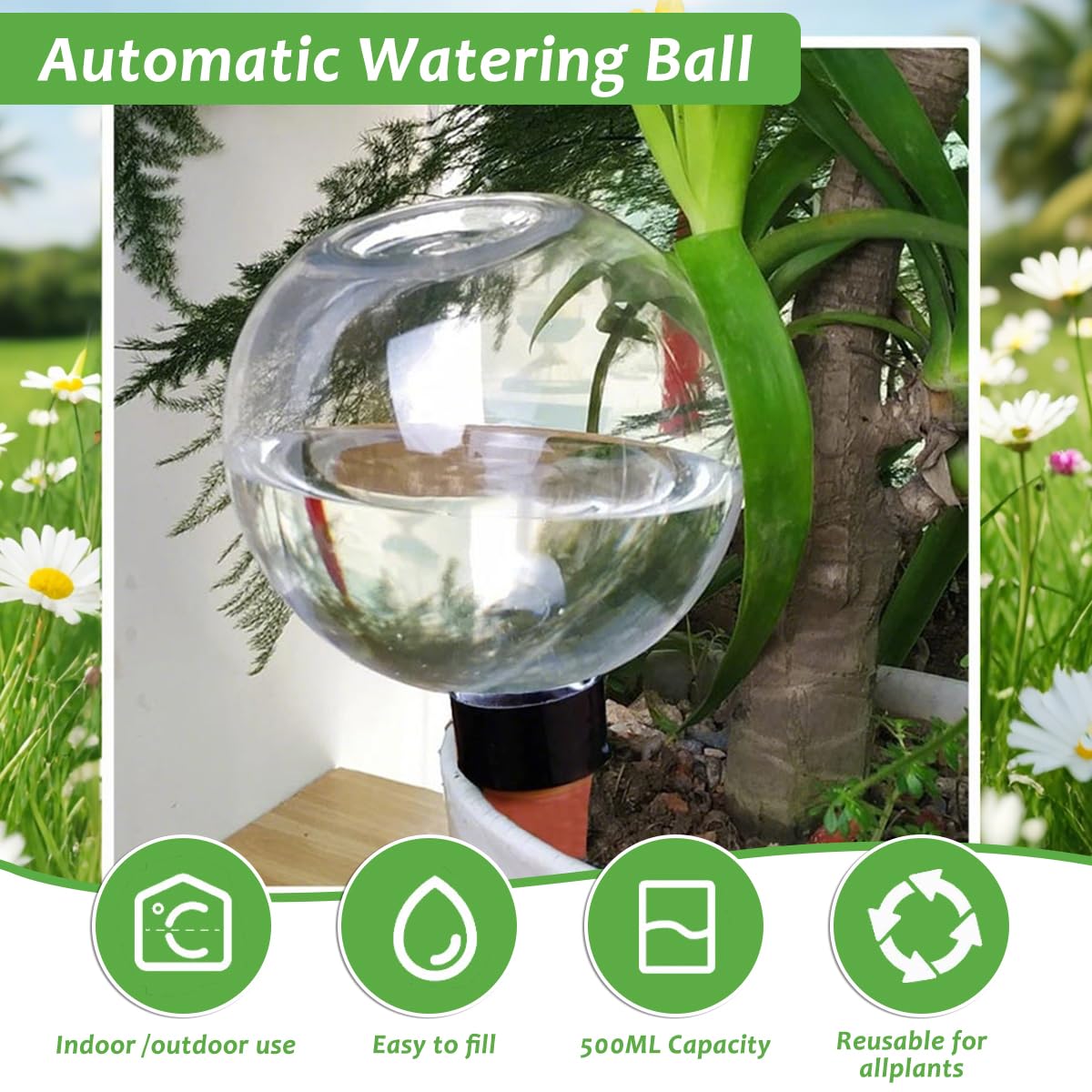 Lot de 6 Boules D'Irrigation pour Plant, 500ml Globe D'Arrosage Plant Automatique Transparent, Boule Arrosage Plante, Dispositif D'Arrosage pour JardinièRes, Maison, Intérieur et Extérieur