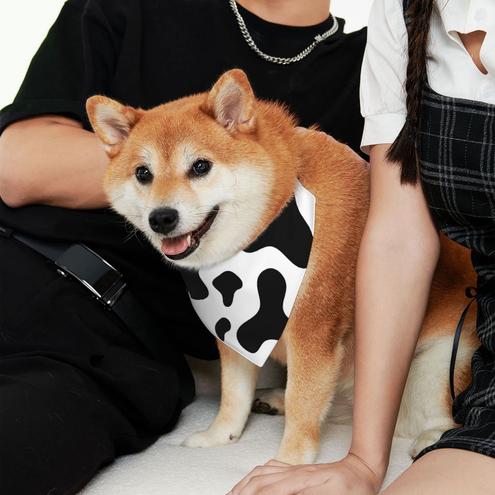 Amazon | ペットバンダナ 動物柄 牛柄 黒と白 犬猫用バンダナ 三角