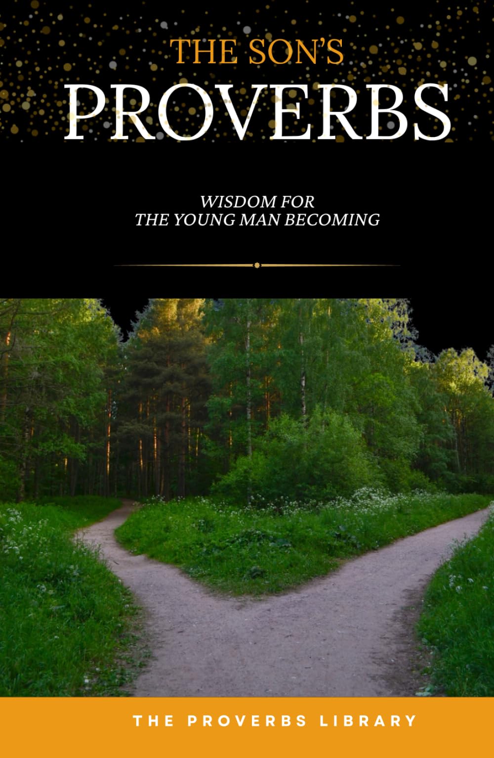 The Son's Proverbs: Wisdom for the Young Man Finding His Way