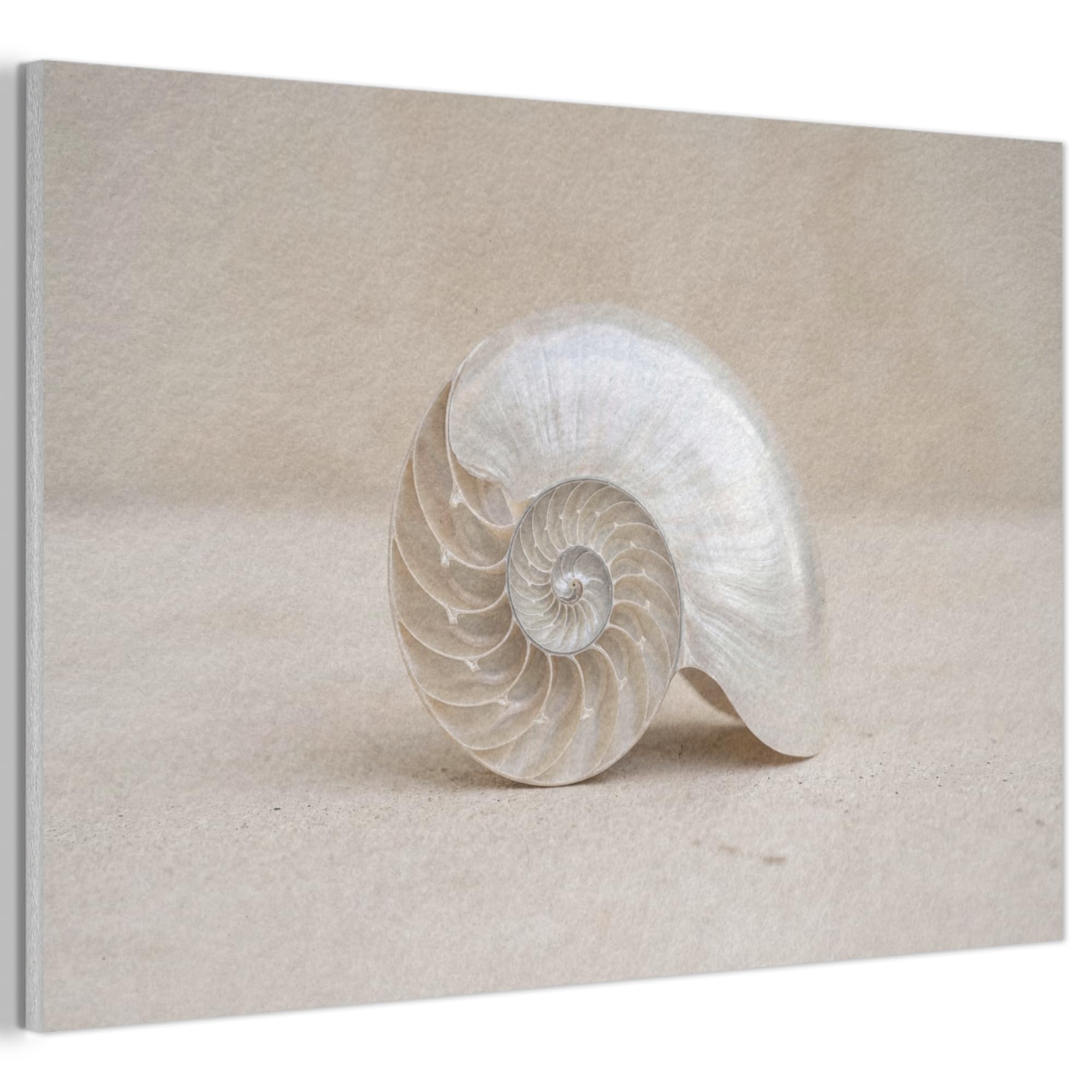 MuchoWow© Felt Panel 60x40 cm Framed Design Print Accent Interior Wallart Decoration Wall Art Shell - Spiral - Beige
