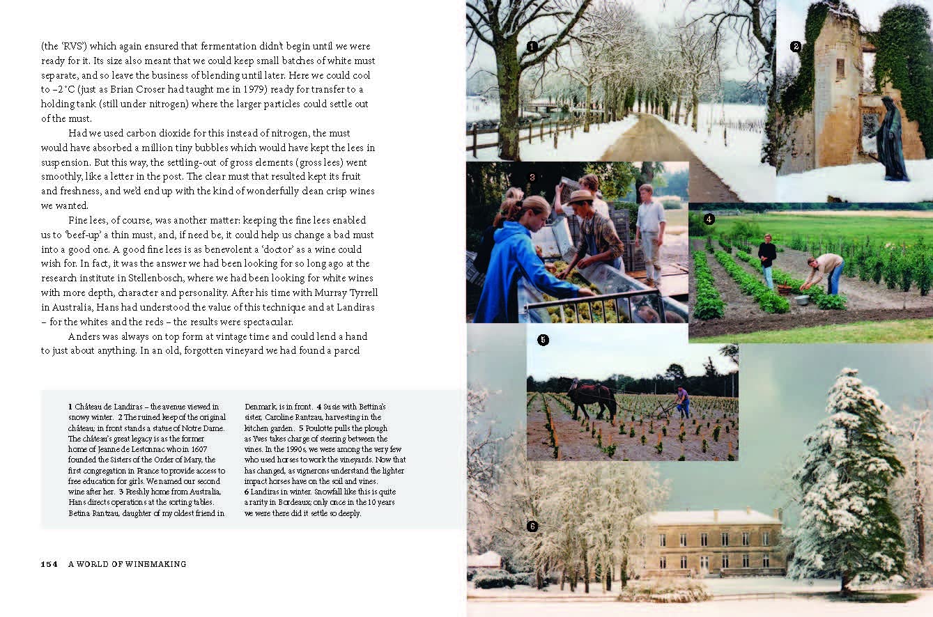 Viking in the Vineyard Peter Vinding-Diers /anglais: Stories from a revolutionary winemaker