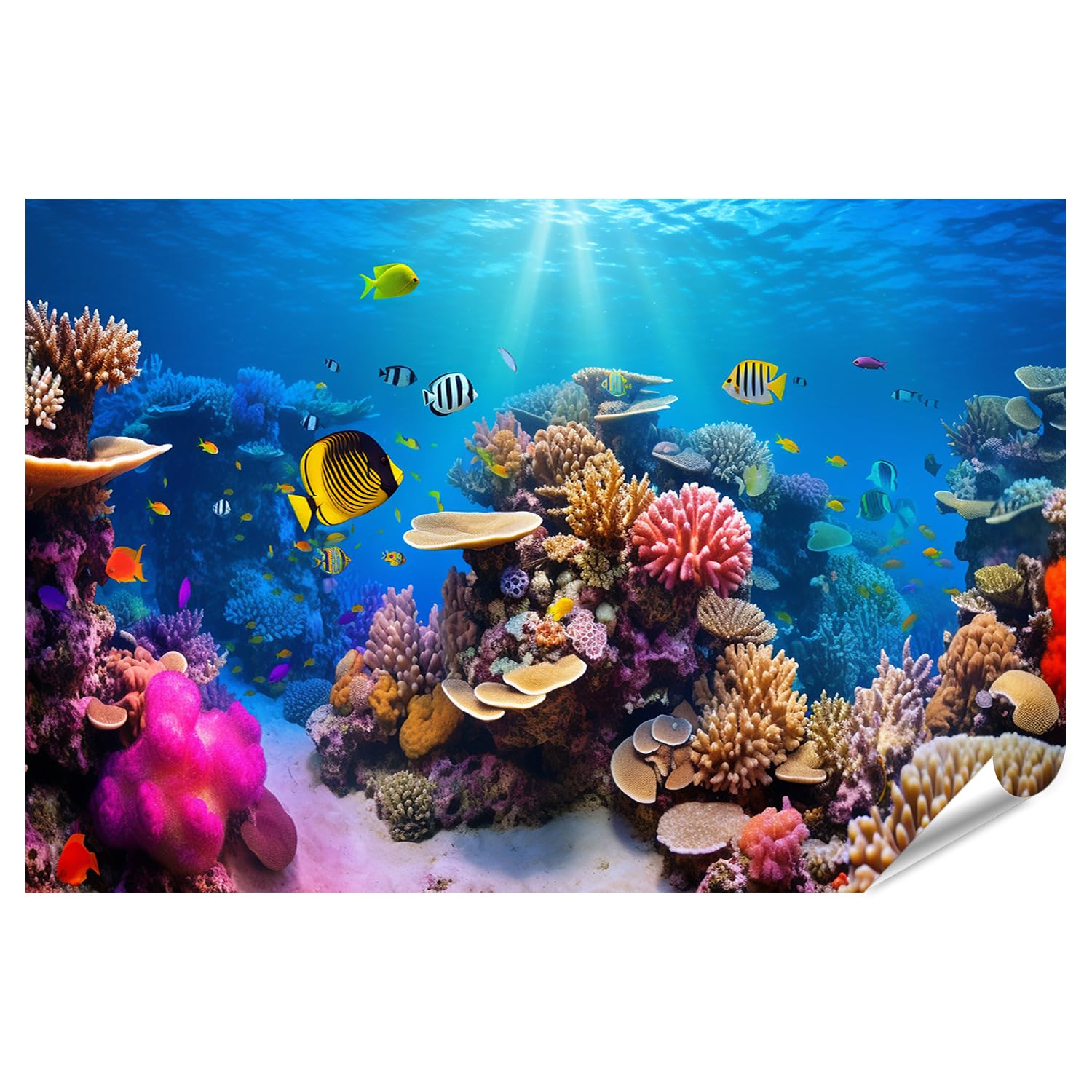islandburner XXL Poster grande barriera corallina pesci corallini Immagini Premium Stampa fotografica