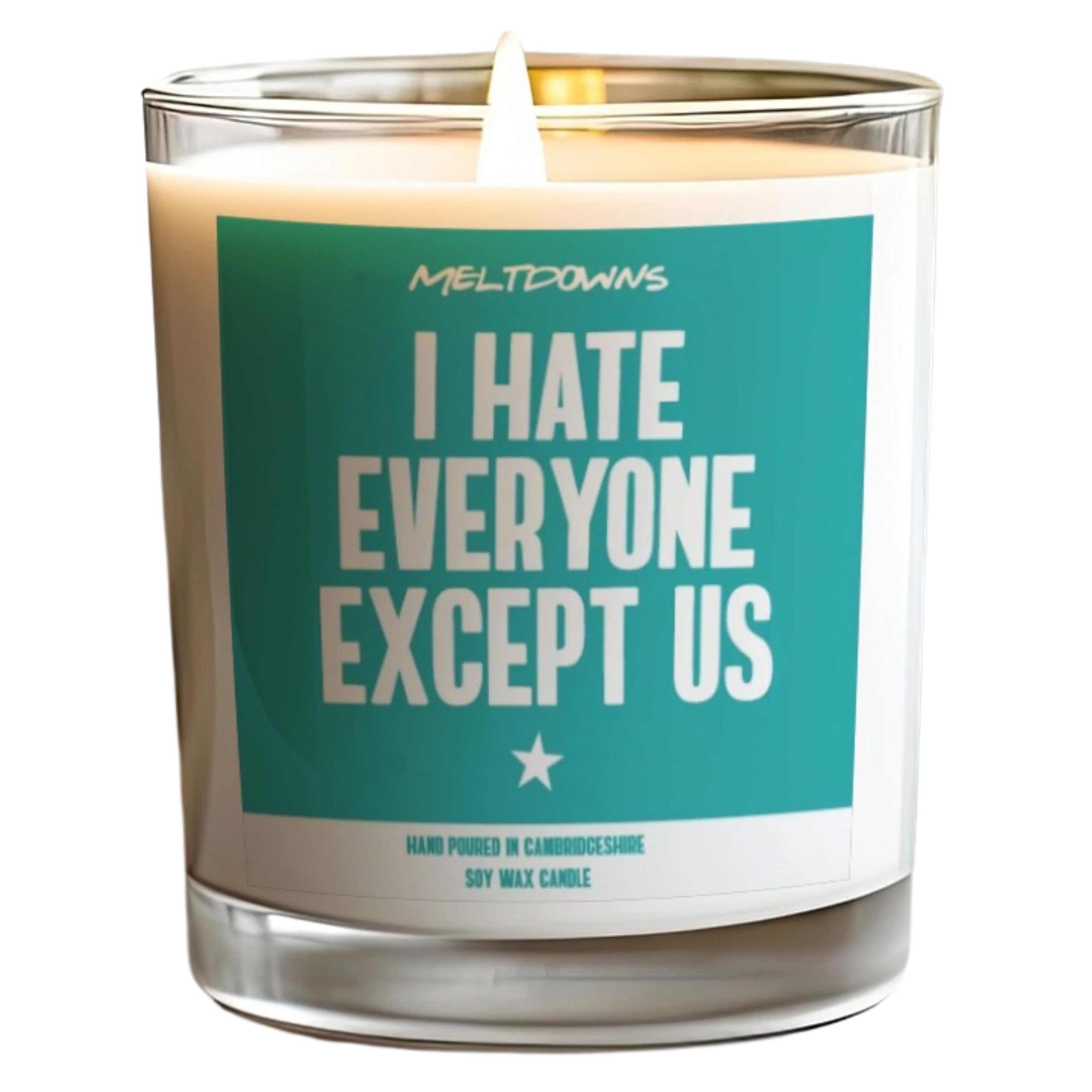 Funny Candle for Couples I Hate Everyone Except Us Romantic Sarcastic for Boyfriend Girlfriend Husband Wife Anniversary Valentines