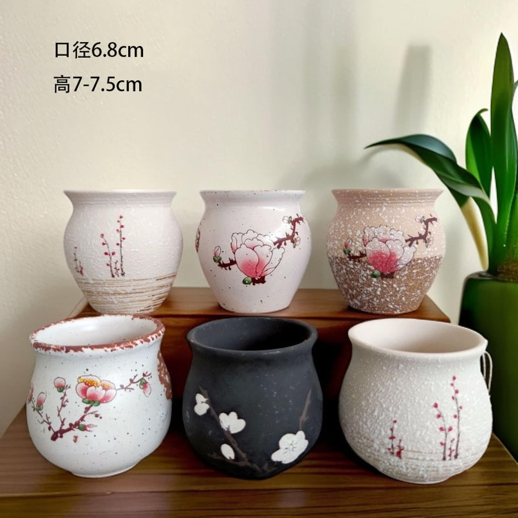 Amazon.co.jp: サボテン鉢 4個 6個 植木鉢セット おしゃれ サボテン