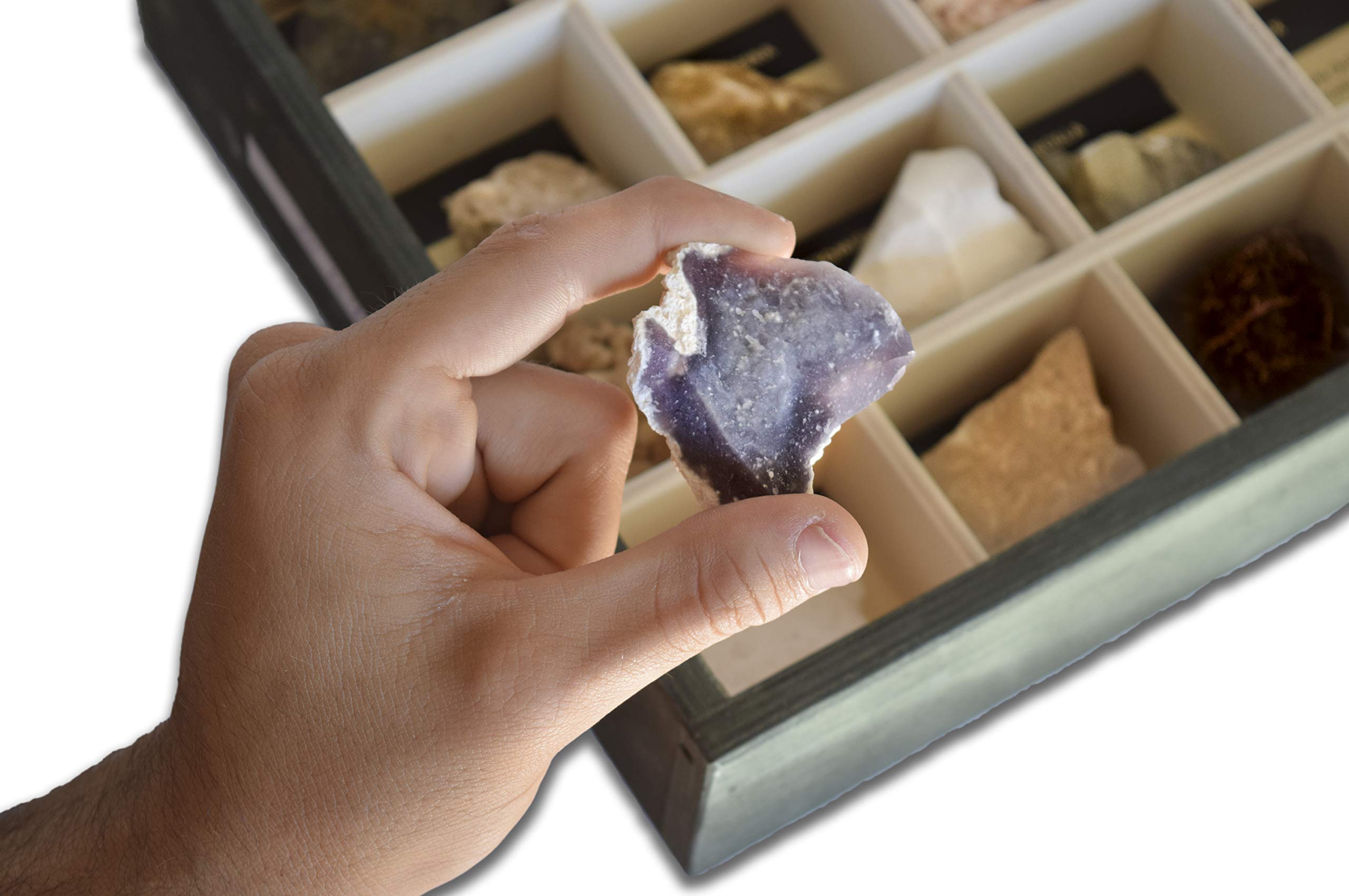 Colección de 20 Rocas Sedimentarias Premium en Caja de Madera Natural - Rocas educativas de Gran tamaño con Hoja de descripción. Kit Geología para niños