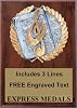 Express Medals Various Styles of Personalized Music Award Plaques Trophy Prize Gift