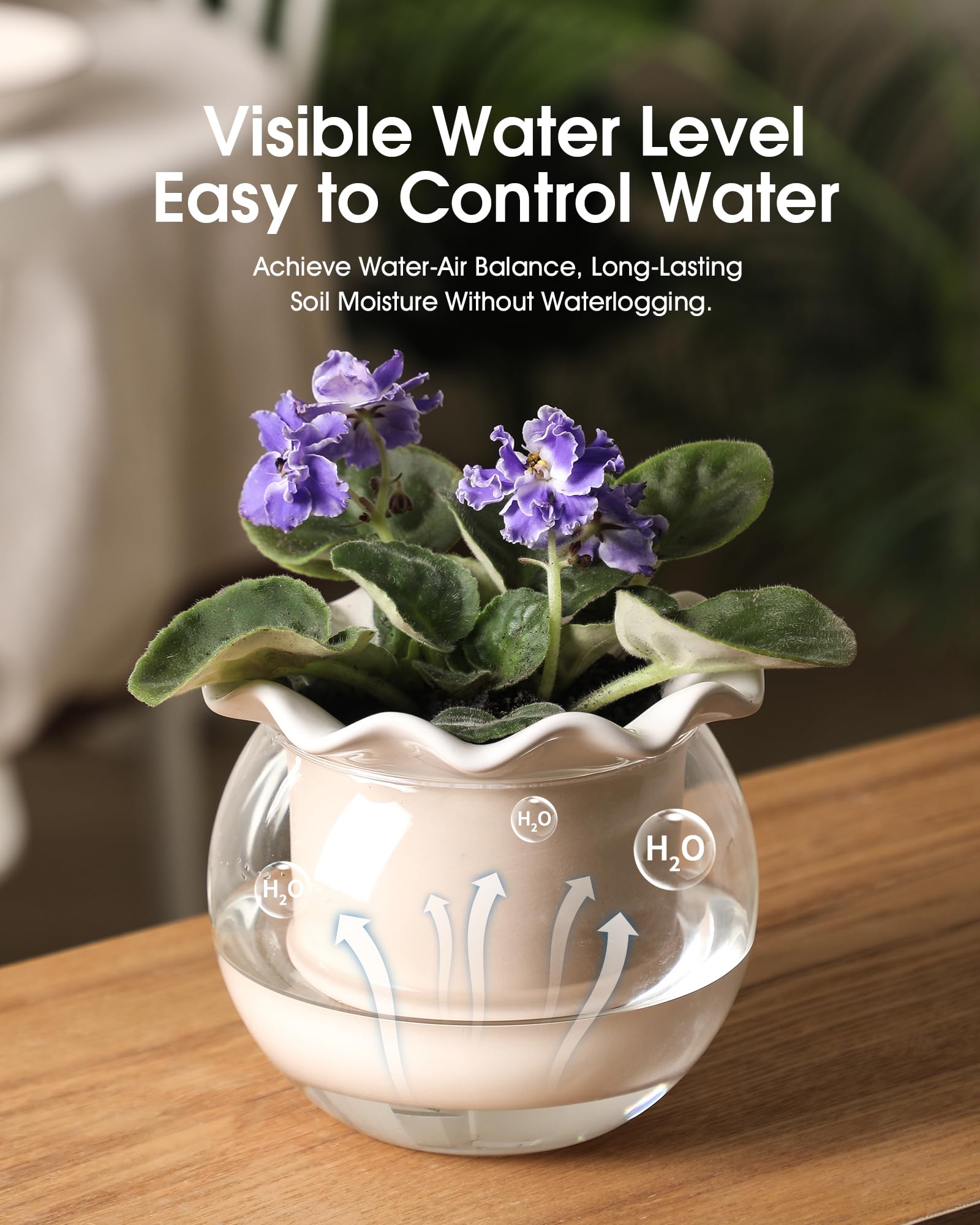 Amazon.com: Fayoula 6 Inch African Violet Pots Maintenance, Glass  Self-Watering Planter for Indoor Plants - Ideal Flower Pot for Thriving  Indoor Gardens, Pots Only (Version 2) : Patio, Lawn & Garden