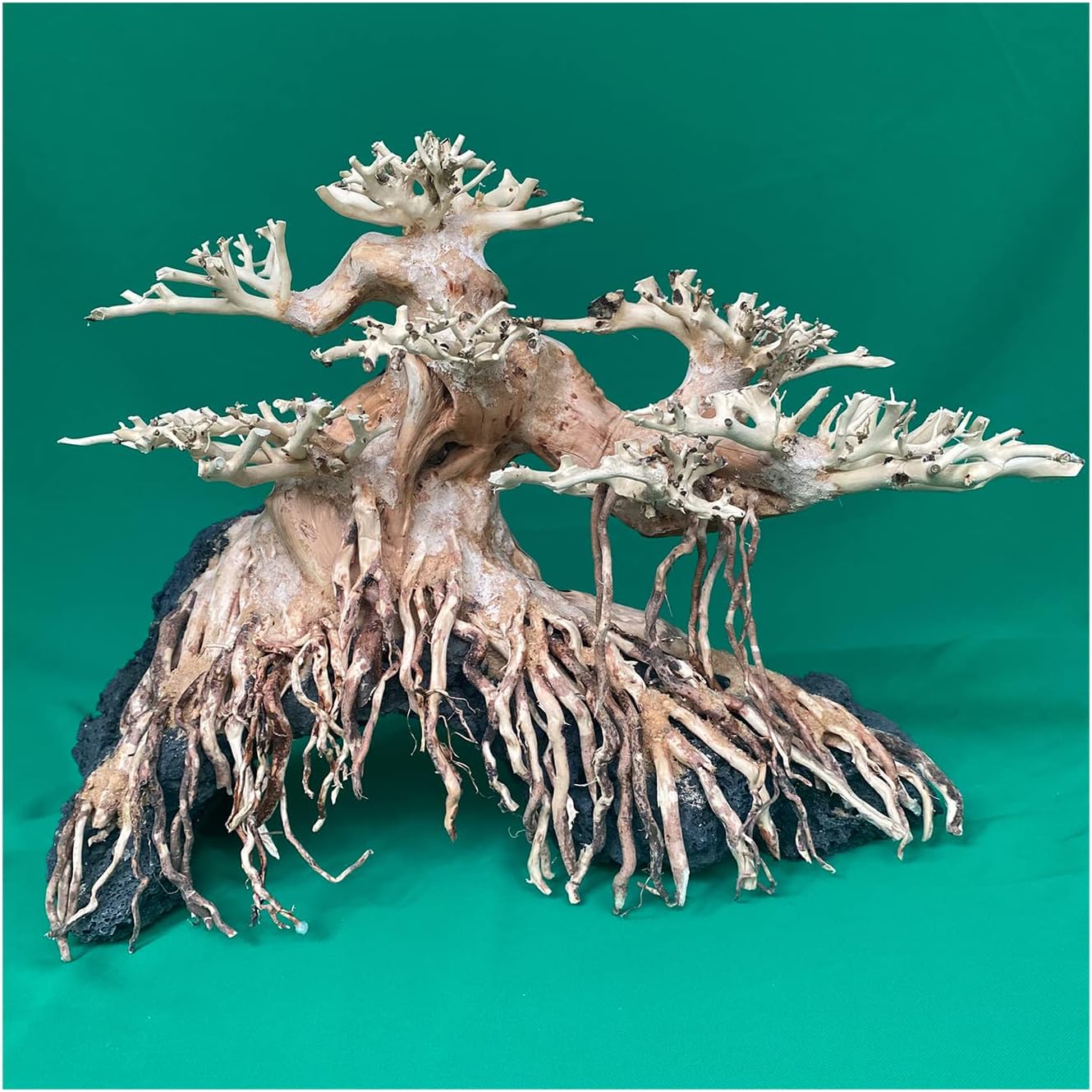 Aquarium Bonsai Driftwood Tree aquascape Wood Aquarium