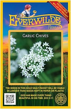 Everwilde Farms - 1000 Garlic Chives Herb Seeds - Gold Vault Jumbo Seed Packet