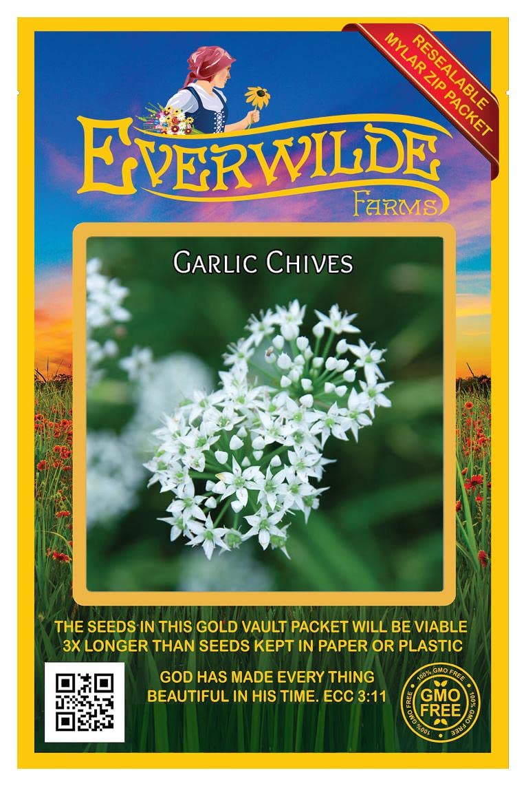 Everwilde Farms - 1000 Garlic Chives Herb Seeds - Gold Vault Jumbo Seed Packet