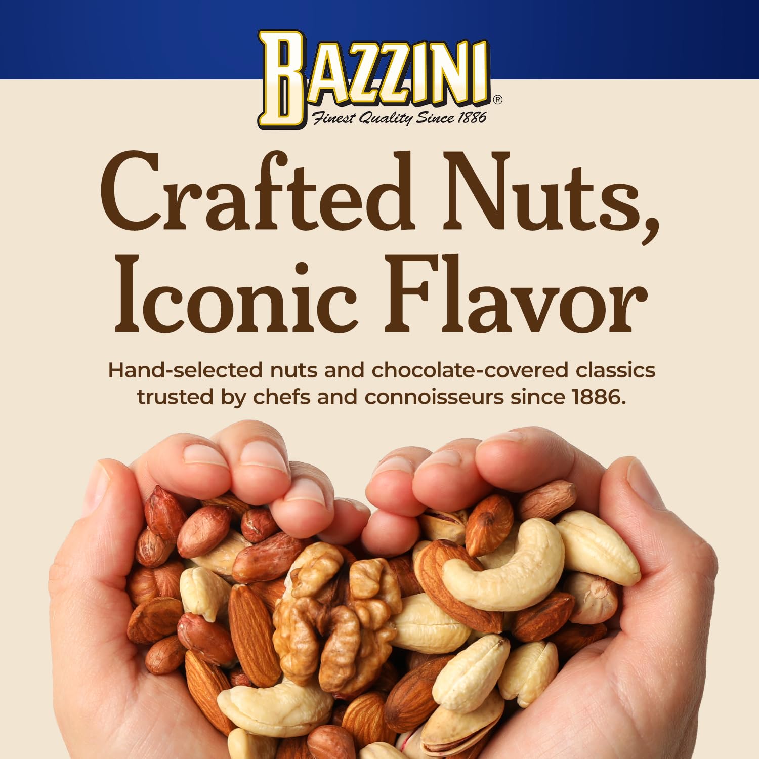 Amazon.com : Bazzini Dark Chocolate Walnuts, Gourmet Walnuts