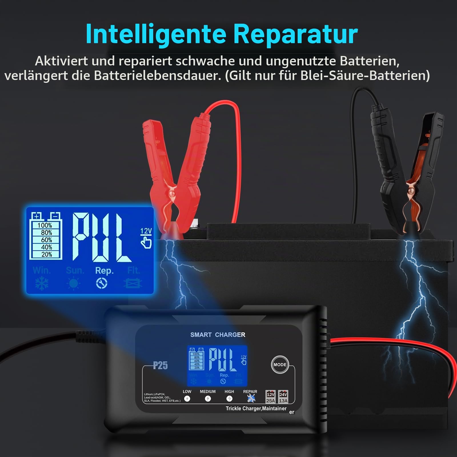 HTRC 25A Autobatterie Ladegerät 12V/24V für AGM, Gel, EFB, LiFePO4-Akkus