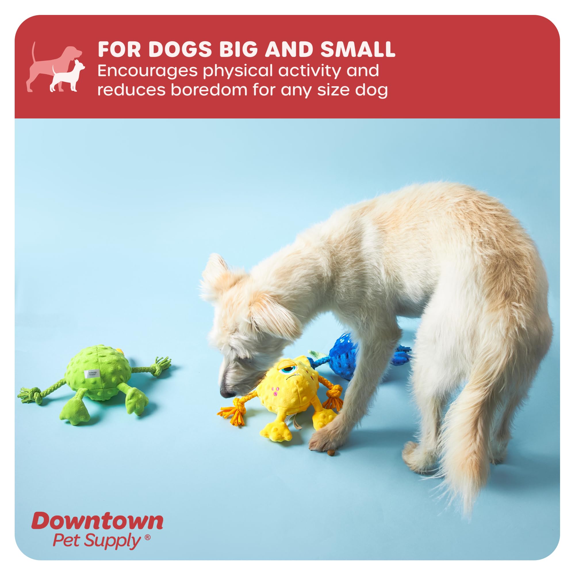 Downtown Pet Supply - Juguetes masticables de peluche con bola chirriante en el interior - Paquete de 3 - Juguetes duraderos para perros pequeños, medianos y grandes - Juguetes chirriantes para perros