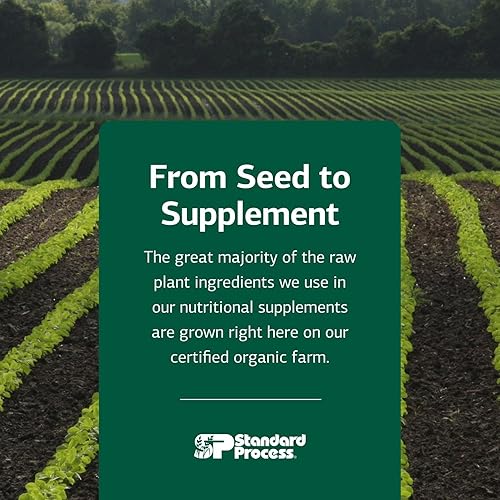 Miniatura 14 de Standard Process Catalyn Masticable - Soporte integral a base de alimentos para el funcionamiento celular, incluye vitaminas A, D, B6, ayuda a