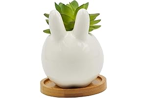 Cute Bunny Shaped Ceramic Succulent Pots