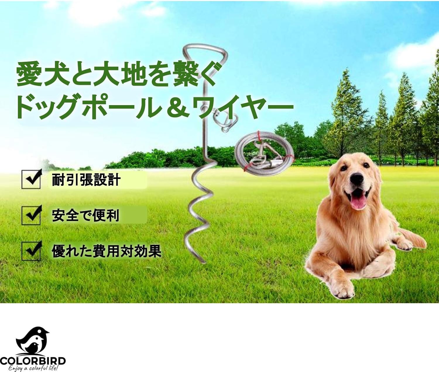 Amazon Colorbird ドッグポール ワイヤー 5m ロングリード ポール ワイヤーストック 犬 リード ペグ キャンプ テント サンドペグ ポール 散歩 レッド Colorbird リード 通販