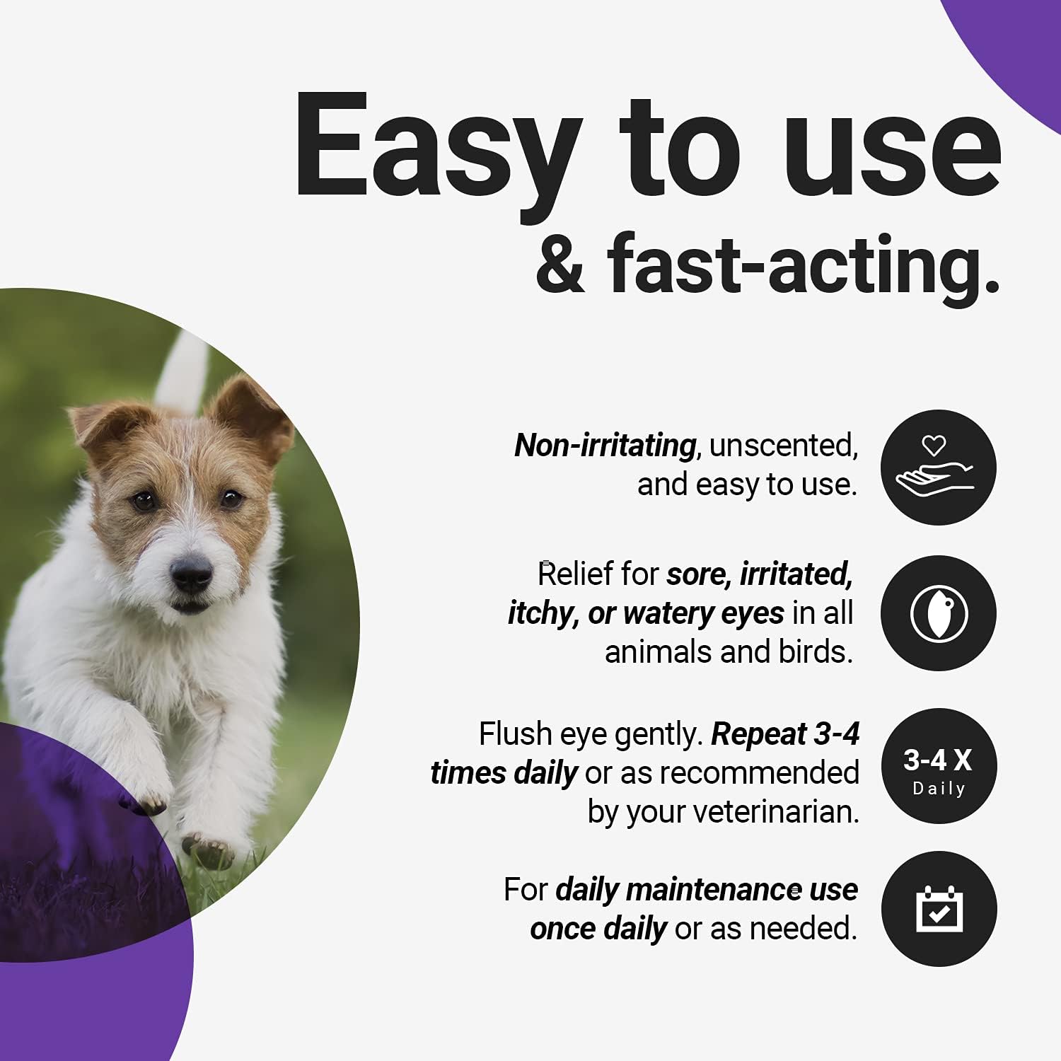 amazon dog eye drops