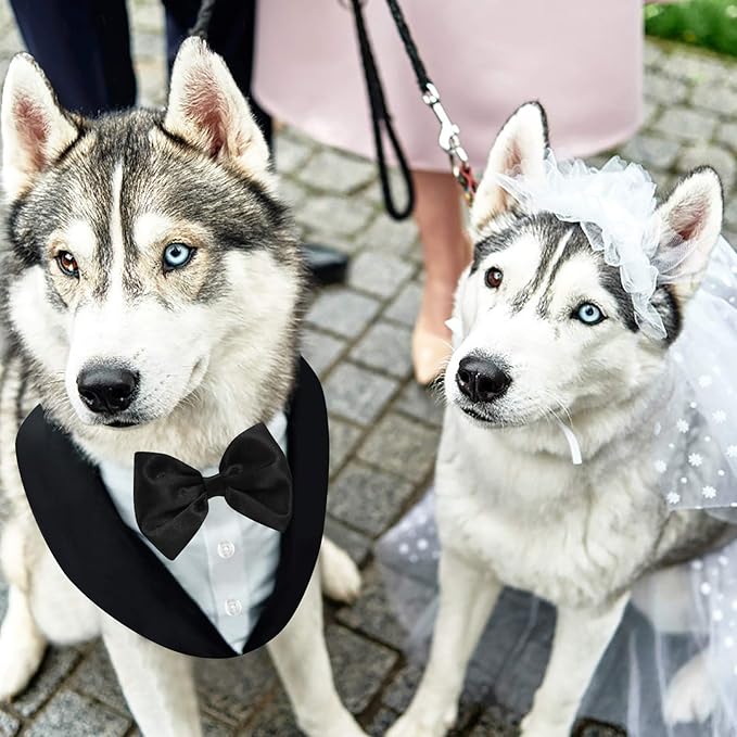 Traje de Etiqueta para Perro Tuxedo con Corbata y Bandana AOFITEE miniatura 7
