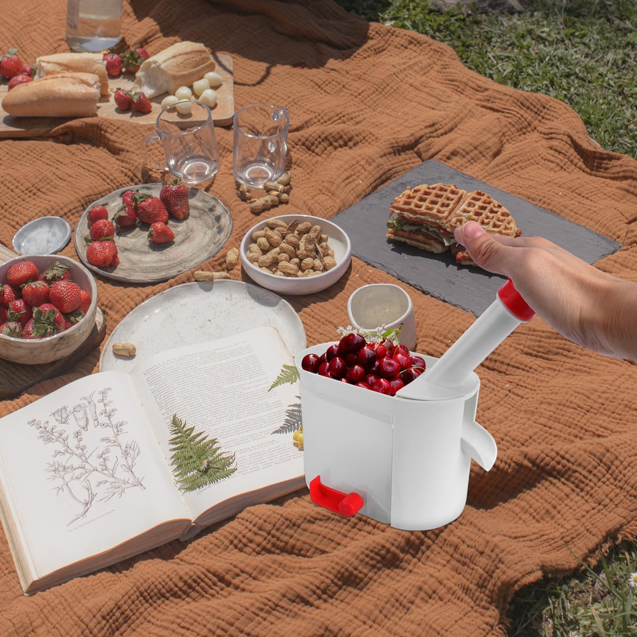 Mikinona Cherry Picker Tool Grape Splitter Cherry Putter Fruit Slicer Vegetable Tool Easy Squeeze