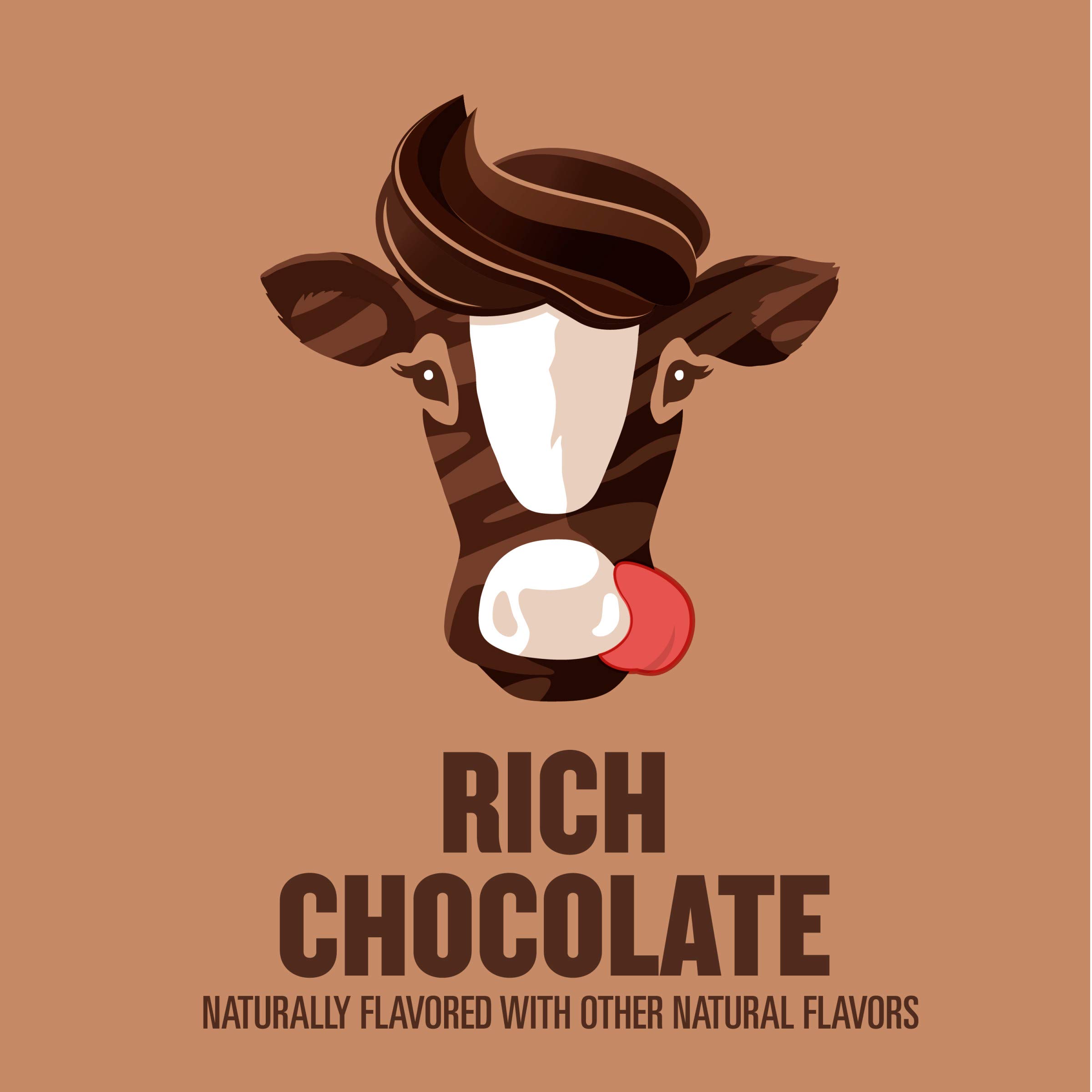 Buy fairlife YUP! Low Fat, UltraFiltered Milk, Rich Chocolate Flavor