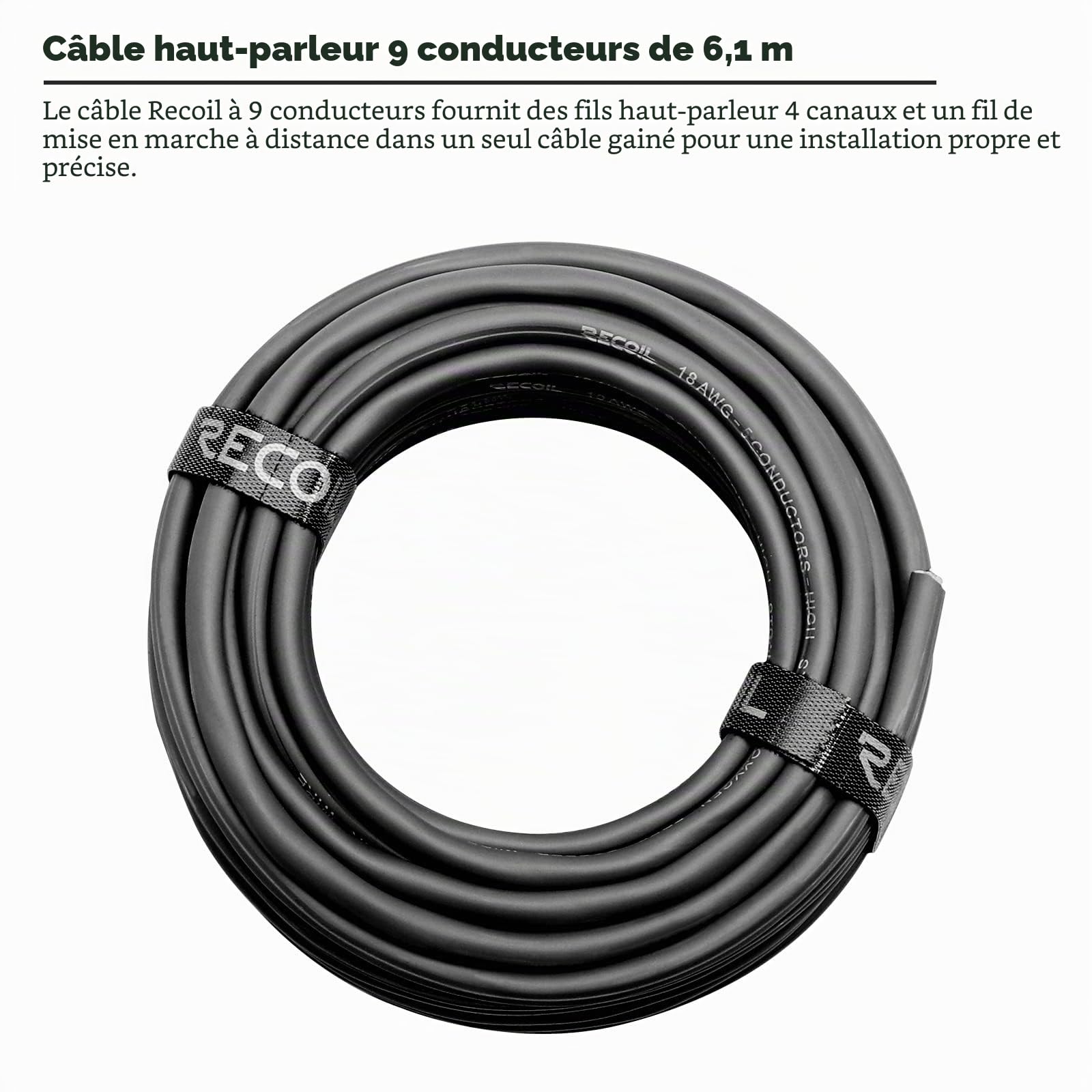 RECOIL RS918-20 Câble HP Voiture 9 Conducteurs 18 AWG CCA 6m Easy-Peel | 9x0,8mm², 4 Canaux + Remote, Ultra-Flexible, Code Couleur EIA